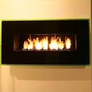 Dark Brown & Lime Green Fascia(Sir)