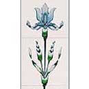 Cast Tec Iris Tile Set Ivory Blue