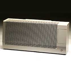 Drugasar Flue Gas Wall Heater Horizon NL31 Balanced