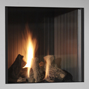 Drugasar Fire Passeo Balanced Flue Gas