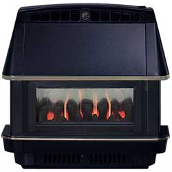 Robinson Willey Firecharm Balanced Flue Fire