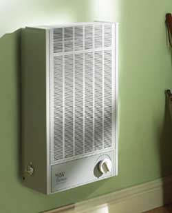 Robinson Willey Bantam Ecotherm Balanced Flue Gas Heater