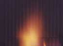 Verine Black Reeded Fireback
